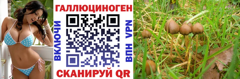 Галлюциногенные грибы Magic Shrooms  Клин 