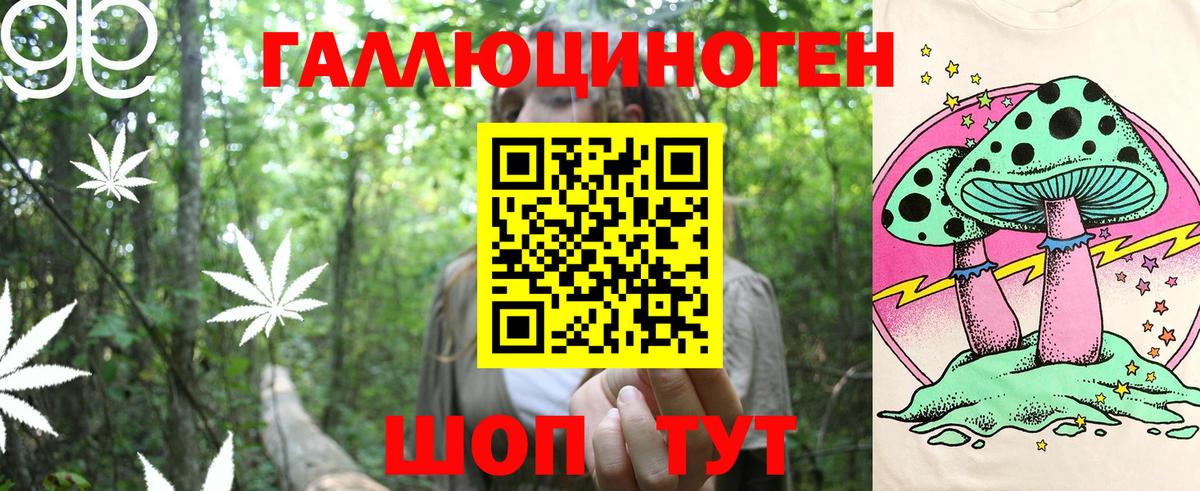 Клин  Псилоцибиновые грибы Psilocybine cubensis  Вход с VPN 